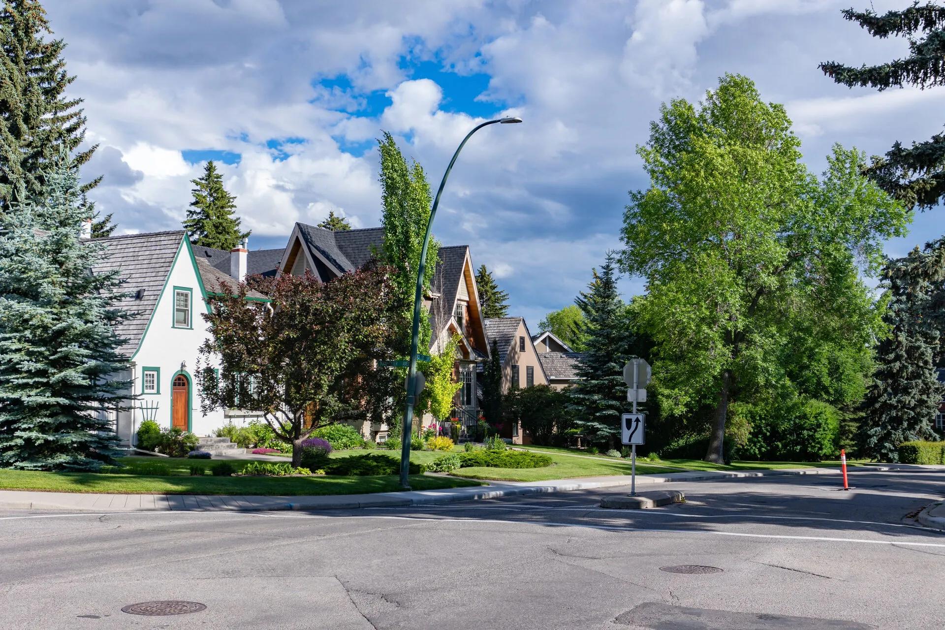 Detached homes on a tree-lined residential street in a Calgary, Alberta neighbourhood on a sunny summer day